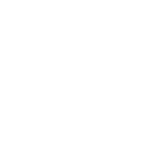 Let's Forest 2026 Kazakhstan